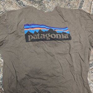 Patagonia tshirt